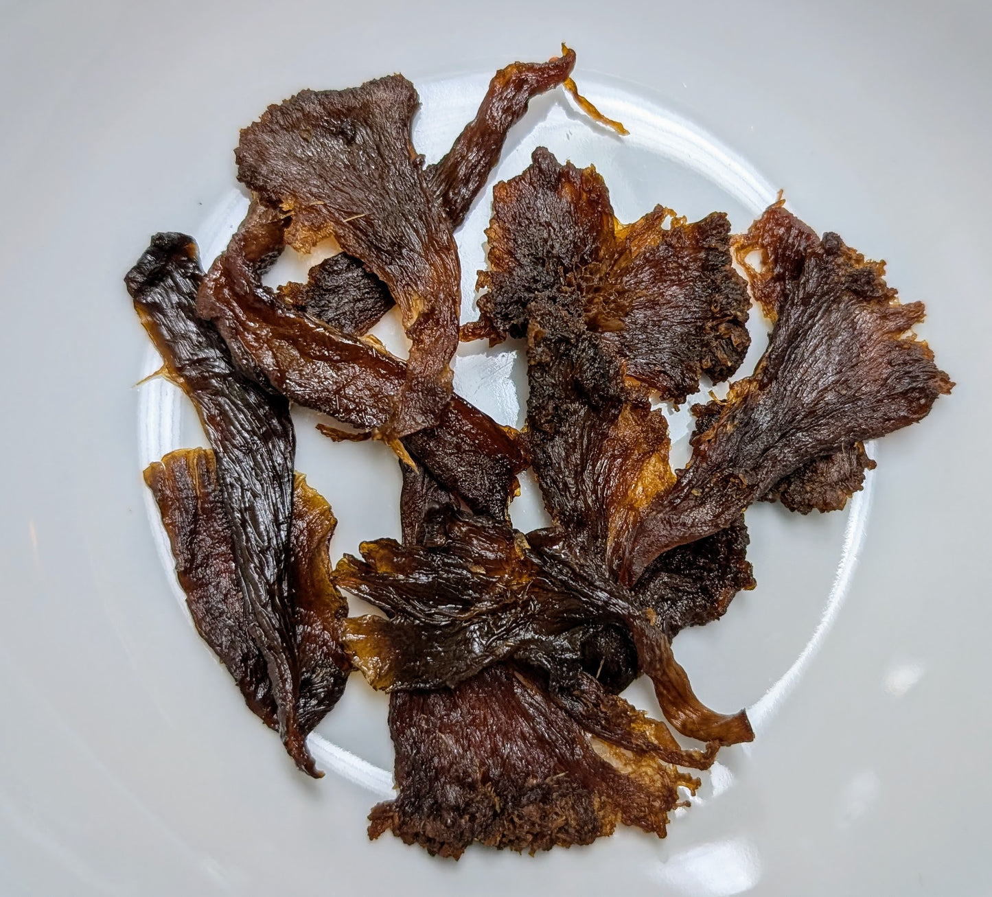 Mushroom Jerky