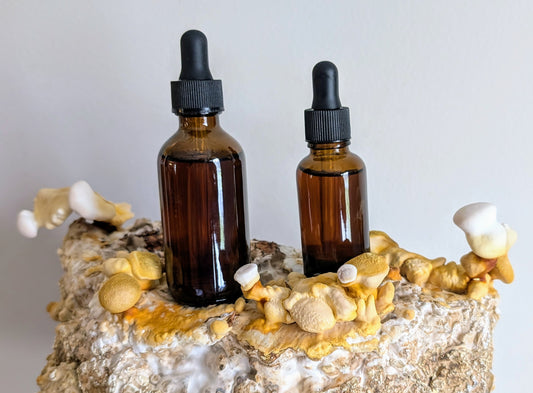 Reishi Dual Extract Tincture