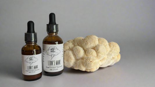 Lion's Mane Dual Extract Tincture